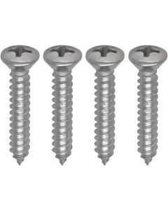 1965-1966 Ford Thunderbird Door Courtesy Light Bezel Screw Set