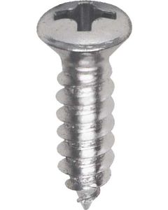 1964-1966 Ford Thunderbird Stainless Steel Door Panel Moulding Screw Set
