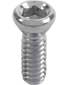 Inside Door Handle Screw - Chrome - Falcon & Comet