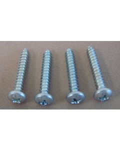 1969-1970 Mustang Parking Light Lens Screw Set
