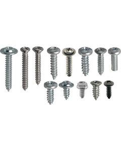 1966-67 Ford Interior Trim Screw Kit 2 Door Hardtop