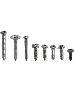 Interior Trim Screw Kit/ Fairlane 500 Convertible