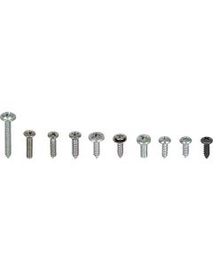 Interior Trim Screw Kit - Fairlane & Torino 2 Door Hardtop