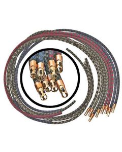 Spark Plug Wire Set - Color Coded - 8 Pieces - V8 - Ford Passenger