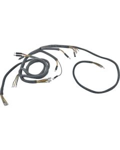 Headlight Wiring Harness - With Horn Wiring - Ford Passenger
