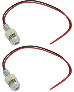 License Plate Mounting Bolts With White LEDs - Polished Stainless Steel Housings - 12 Volt