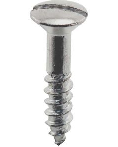 Cc Inside Mirror Mtg. Screw St