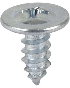 Screws, 20 Pieces, Wheel Opening Moulding to Fender