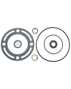 1965-1966 Ford Thunderbird Power Steering Pump Seal Kit, 8 Pieces