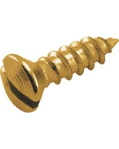 Common Sense Mounting Screws/ Brass/ 10 Pcs
