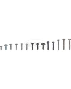 1969-1970 Mustang Fastback Interior Trim Screw Set, 121 Pieces