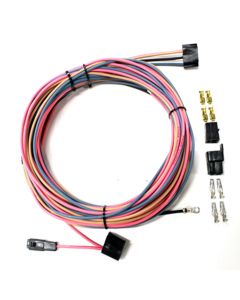 Power Tailgate Harness, 1978-1979