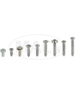 Interior Screw Kit, 4 Door, Galaxie, 1966
