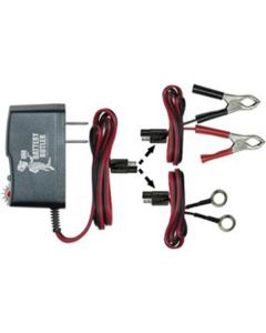 Battery Storage Float Charger, 12 Volt, Automatic