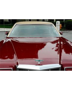 1977-79 Thunderbird Windshield