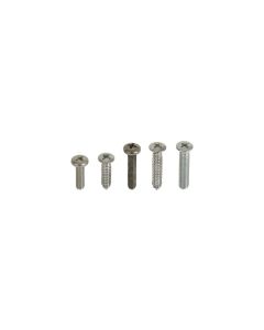 Exterior Screw Kit (30 Pieces), Galaxie, 1962