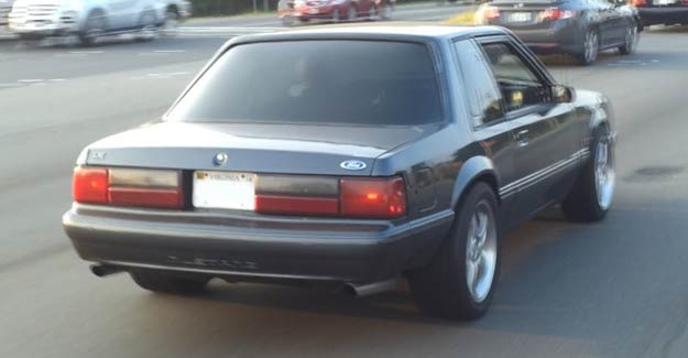 Mustang