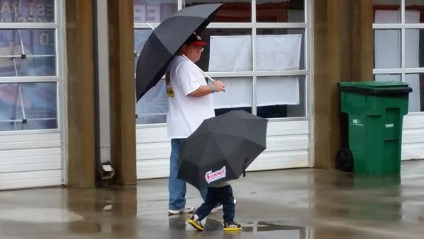 umbrella